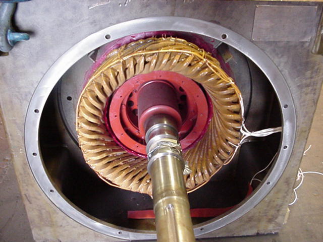 3000hp 3600rpm Motor Assembly
