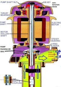 hollow shaft motor